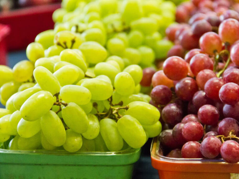 Hrozno toxické pre psov